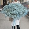 51 голубая гипсофила